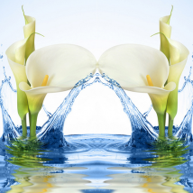 3dl立體無(wú)縫大型壁畫壁紙花卉過(guò)道玄關(guān)壁紙熱銷包郵